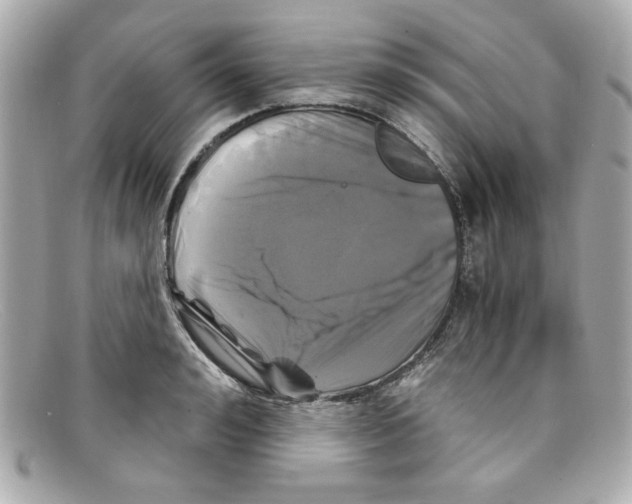 X0000097950992200804211031