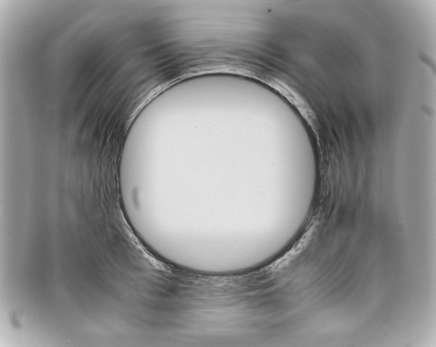 X0000097950993200804211031