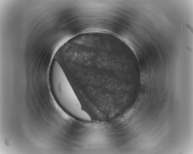 X0000097950995200804211031