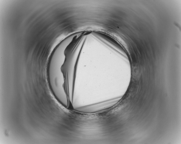 X0000097950997200804211031