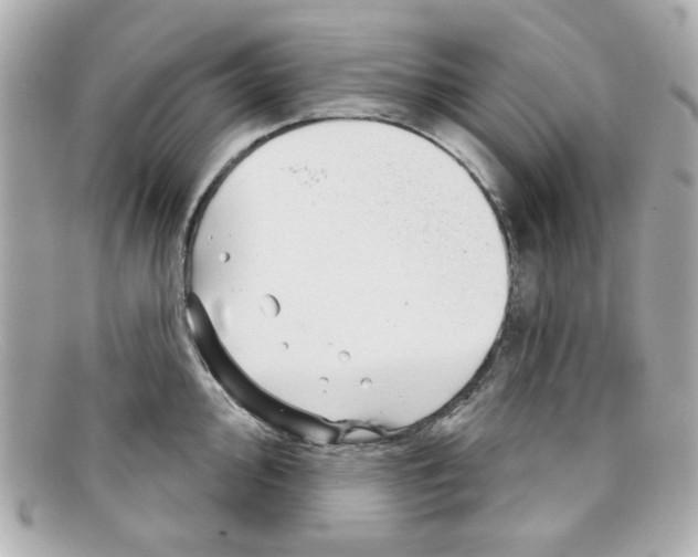 X0000097951000200804211031