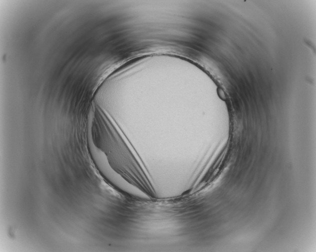 X0000097951001200804211031