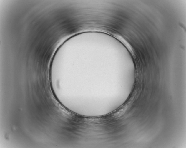 X0000097951004200804211031
