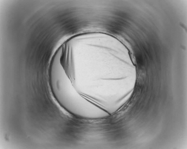 X0000097951005200804211031
