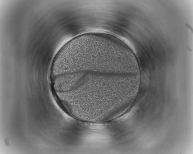 X0000097951007200804211031