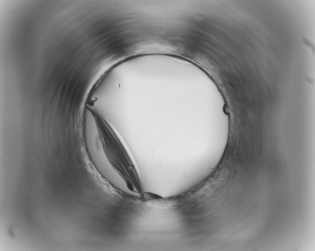 X0000097951008200804211031