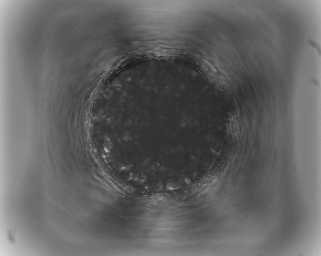 X0000097951009200804211030