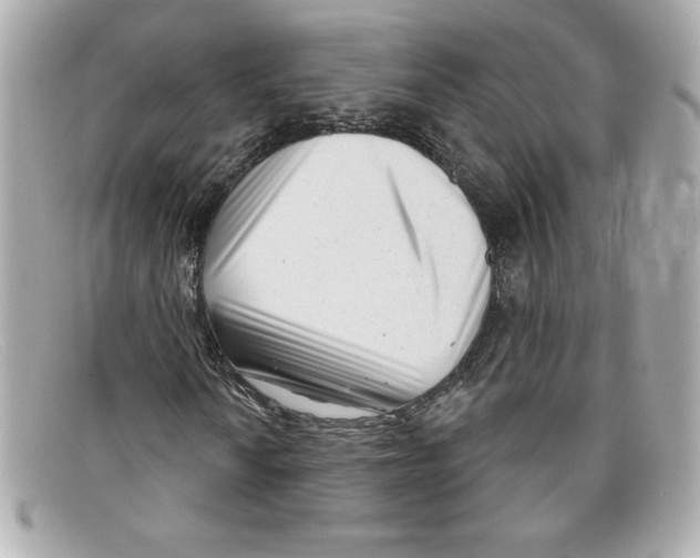 X0000097951010200804211030