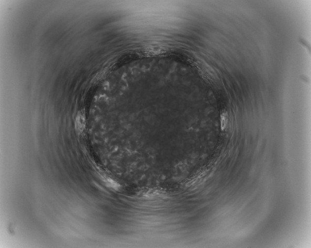 X0000097951011200804211030