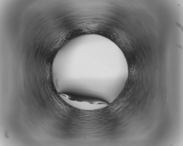 X0000097951012200804211030
