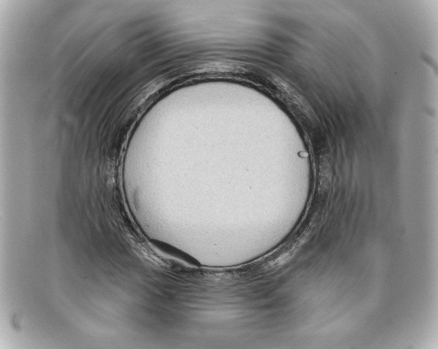 X0000097951017200804211030