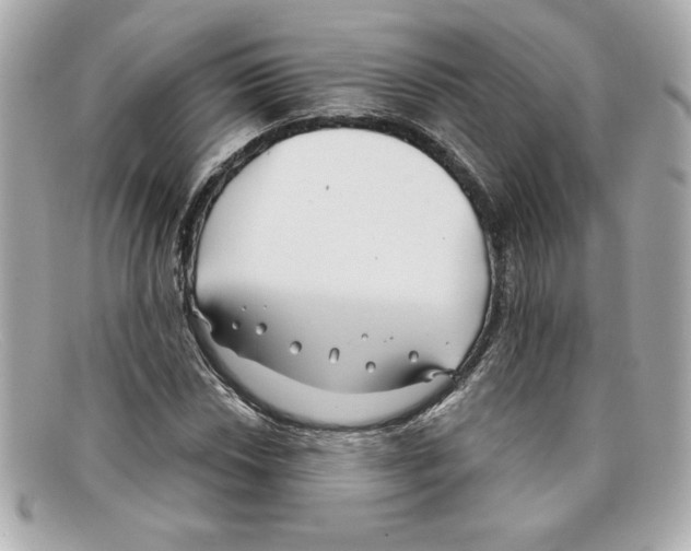 X0000097951018200804211030