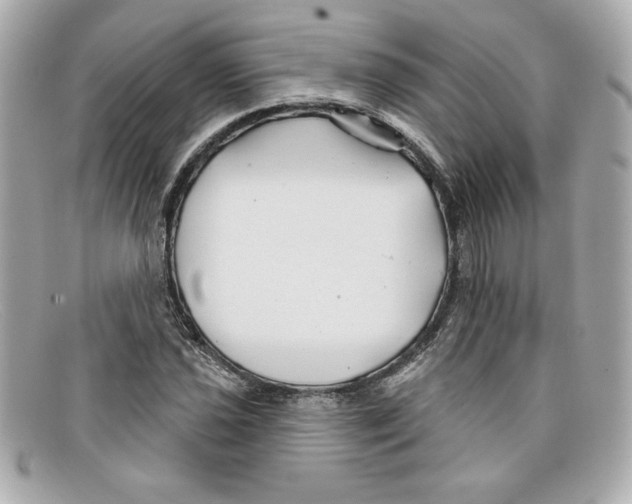 X0000097951021200804211030