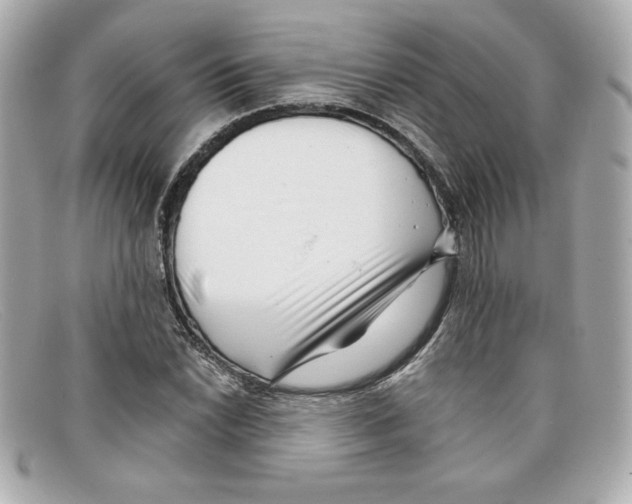 X0000097951022200804211030