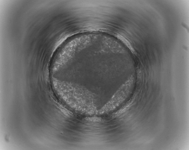 X0000097951023200804211030