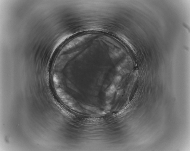 X0000097951024200804211030