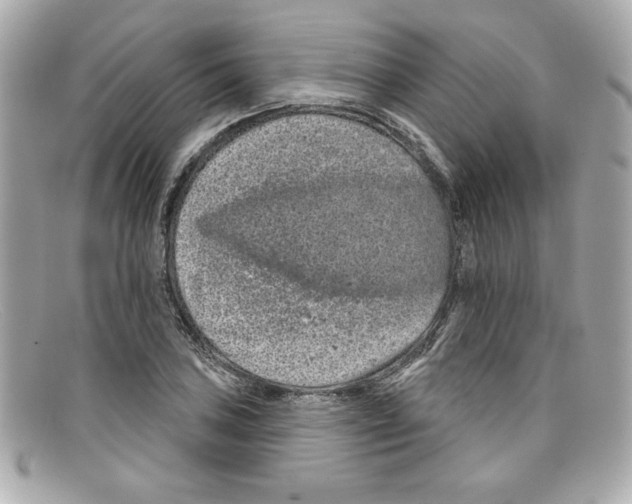 X0000097951027200804211030