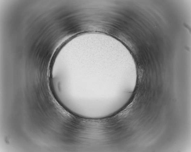 X0000097951028200804211030