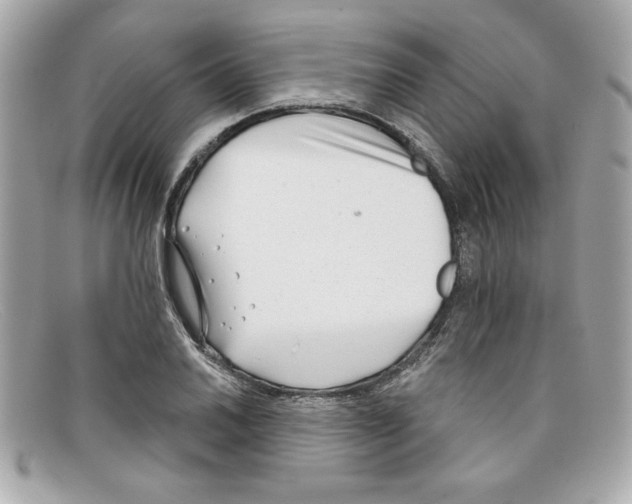 X0000097951030200804211030