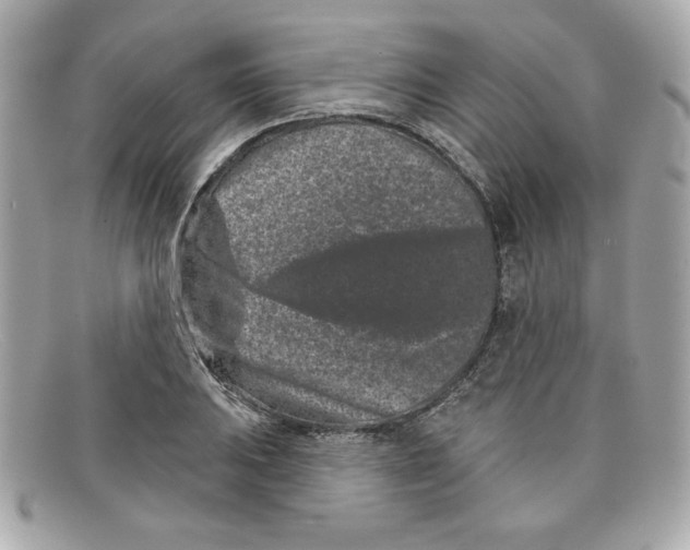 X0000097951031200804211030