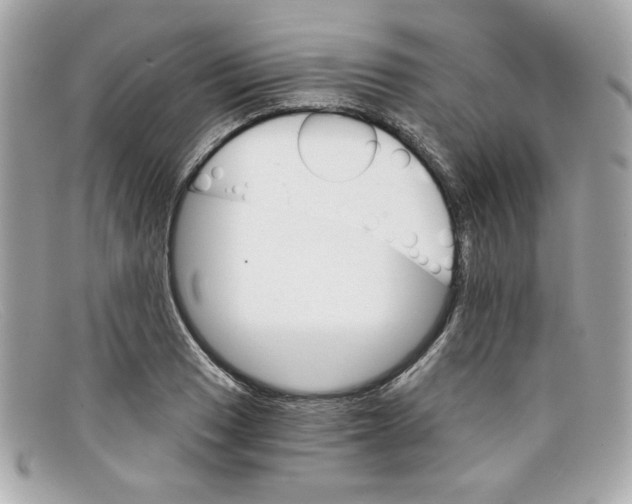 X0000097951033200804211030