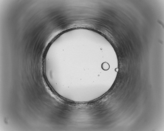 X0000097951038200804211031