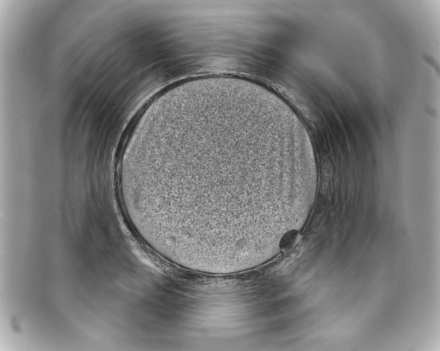 X0000097951039200804211031