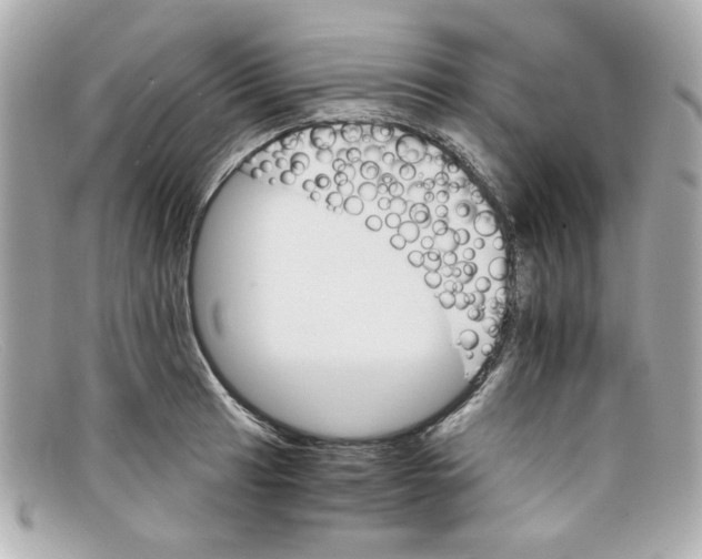 X0000097951041200804211031