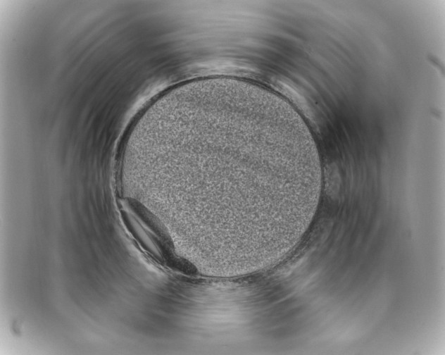 X0000097951043200804211031