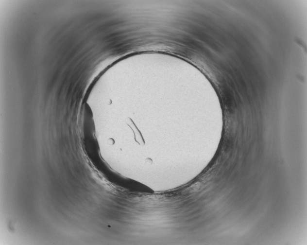 X0000097951044200804211031