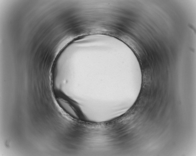 X0000097951047200804211031