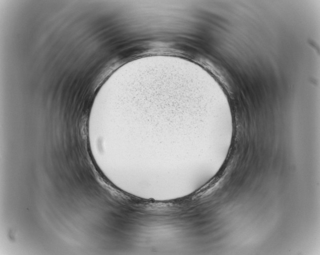 X0000097951049200804211031