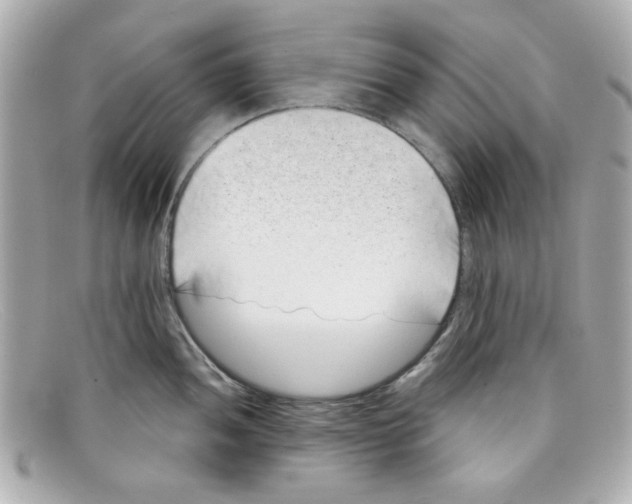 X0000097951052200804211031