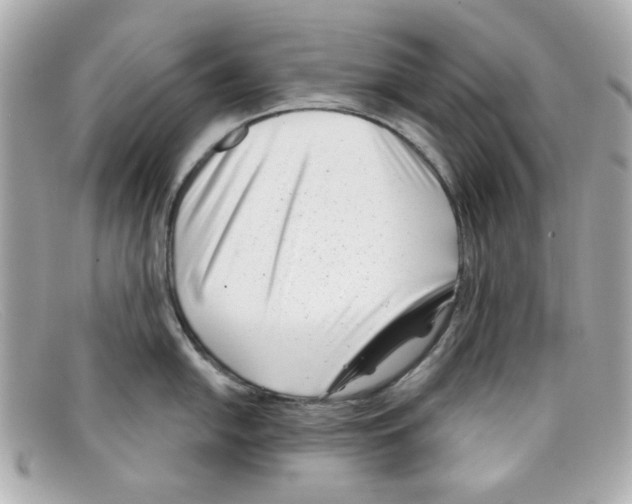 X0000097951054200804211031