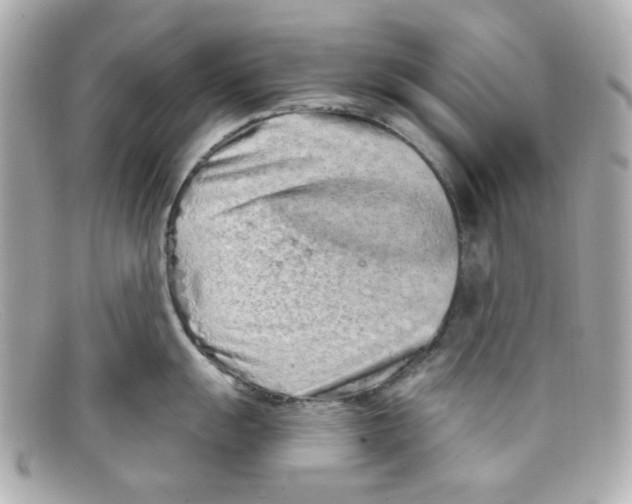 X0000097951055200804211031