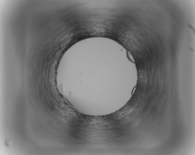 X0000097951057200804211030