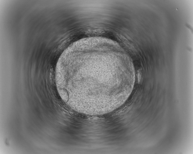X0000097951059200804211030
