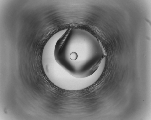 X0000097951060200804211030