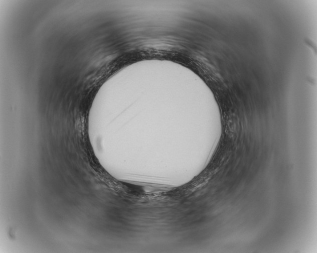 X0000097951061200804211030