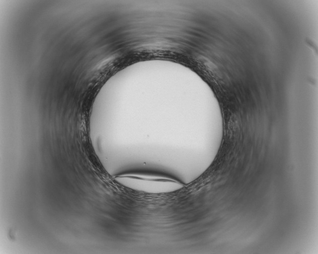 X0000097951062200804211030