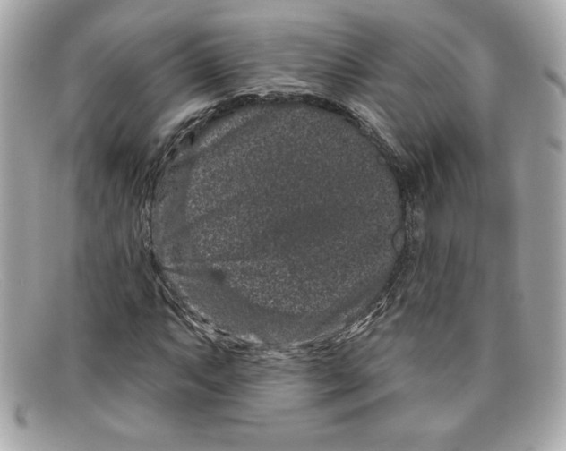 X0000097951063200804211030