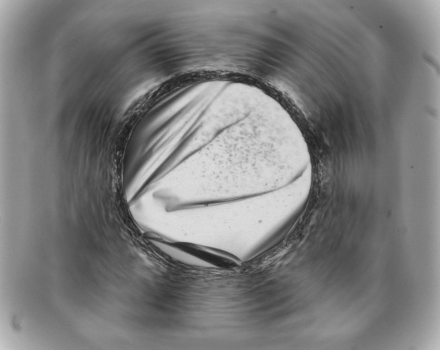 X0000097951064200804211030