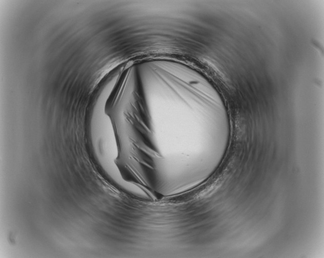 X0000097951065200804211030