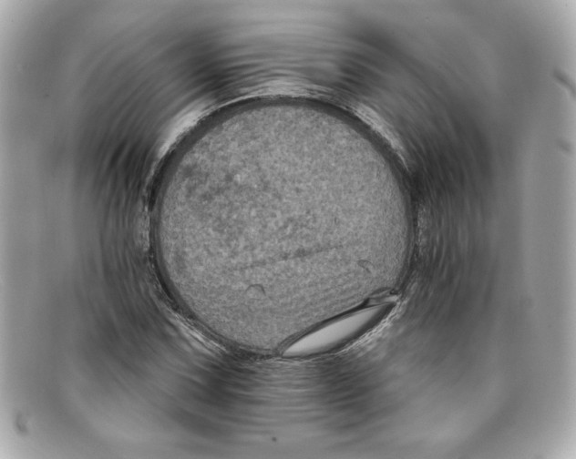 X0000097951067200804211030