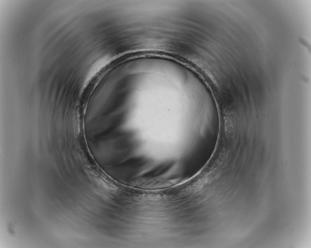 X0000097951069200804211030