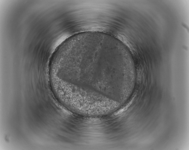 X0000097951071200804211030