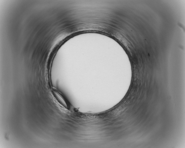 X0000097951072200804211030