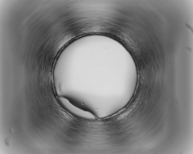 X0000097951073200804211030