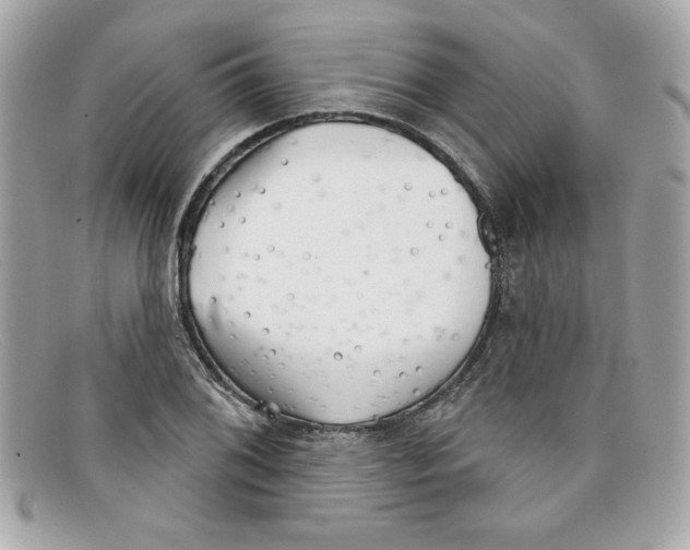 X0000097951076200804211030