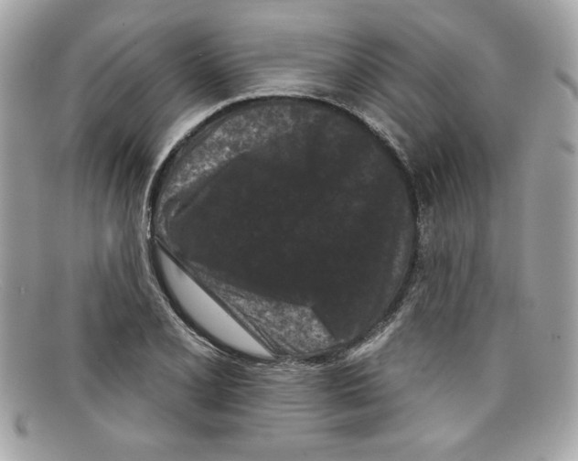 X0000097951077200804211030